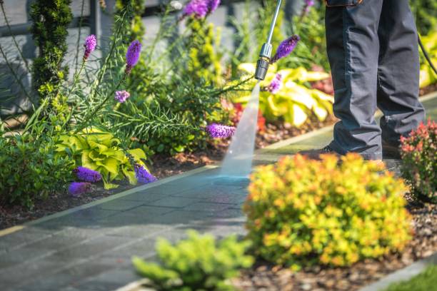 Best Pool Deck Cleaning  in Council Bluffs, IA